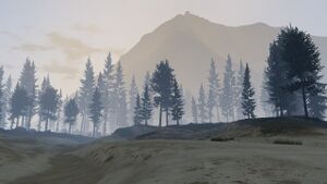 PaletoForest-GTAV-northview.jpg