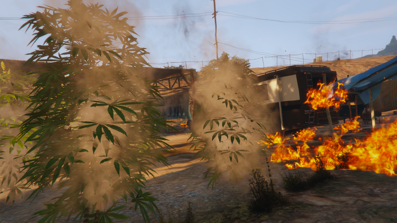 파일:TorchtheWeedFarms-GTAOe-Thumbnail.png