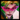 Vayne