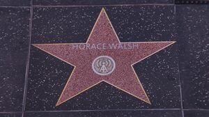WalkofFame-GTAVee-HoraceWalsh.jpg