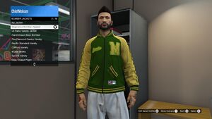 SpecialClothing-GTAOee-MagneticsBomberZipped.jpg