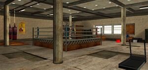 BelowTheBeltGym-GTASA-Interior.jpg