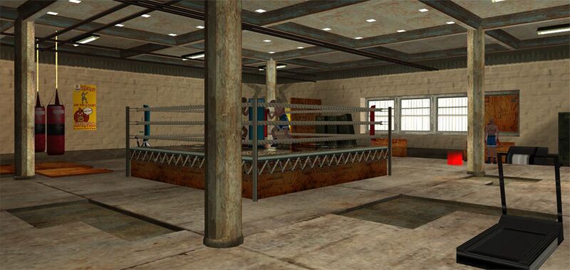 파일:BelowTheBeltGym-GTASA-Interior.jpg