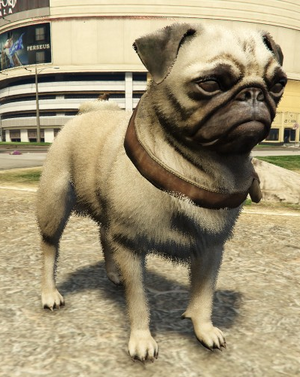 Pug-GTAV-PS4.png