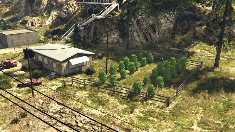 파일:TorchTheWeedFarms-GTAOee-PaletoBay1.jpg