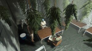 GTAOnlineBonusesDecember2022Part1-GTAOe-WeedFarmBusiness.jpg