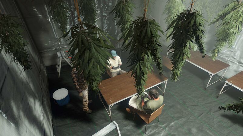 파일:GTAOnlineBonusesDecember2022Part1-GTAOe-WeedFarmBusiness.jpg