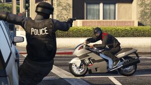Hakuchou-GTAV-RGSC-Action.jpg