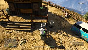 AcidProduct-Paperboy-GTAOee-Set3-Location6.jpg