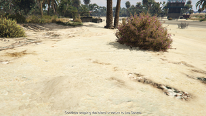 BuriedStashes-GTAOe-Location19.png
