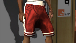 Clothing-GTASA-ProLaps-Legs-DribblerShorts.png