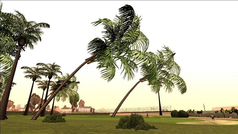 파일:PalmTree-GTASA-SS2.jpg
