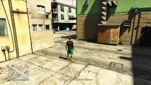 CollectTheFertilizer-GTAOee-SS2.jpg