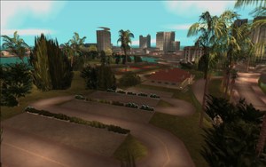 LeafLinks-GTAVC.png