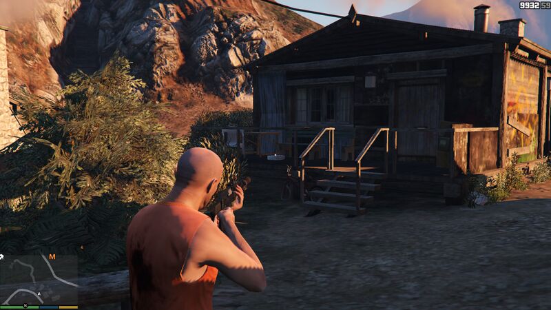 파일:AltruistCamp-GTAV-Briefcase-3.jpg