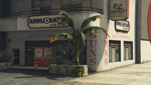 AmmuNation-GTAVe-Hawick.png