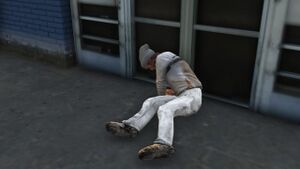 Buscenter-hobo.jpg
