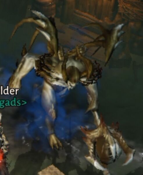 파일:Coldsnap DI.jpg