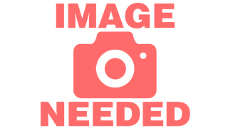 TBOGT의 검은색 산체스.