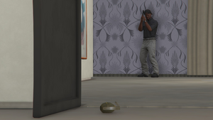 KnoWayMercenaries-GTAOe-Equipment-Grenades.png