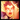 Zyra