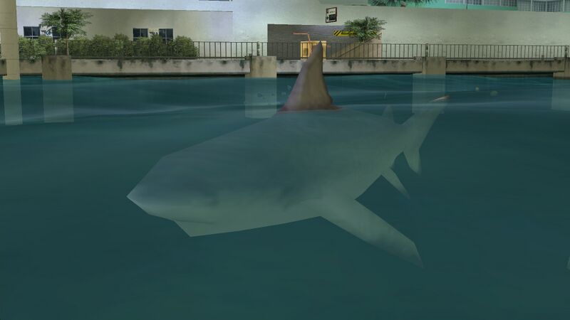 파일:Shark-GTAVC.jpg
