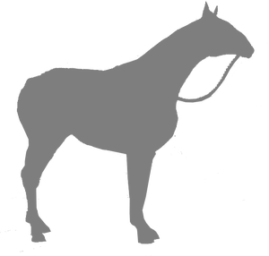 Horse-sample.png