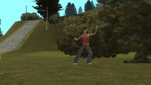 KatieZhan-GTASA-Encounter.jpg
