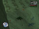 Grand Theft Auto: San Andreas에 등장하는 불가사리.