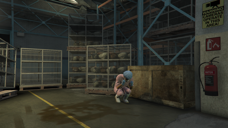 파일:CluckingBellFarms-GTAV-InteriorCagedChickens.png