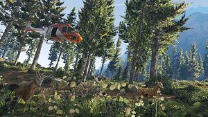 Maverick-ChiliadStateWilderness-GTAV.jpg