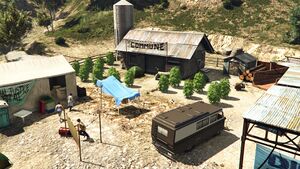 TorchTheWeedFarms-GTAOee-DignityVillage.jpg