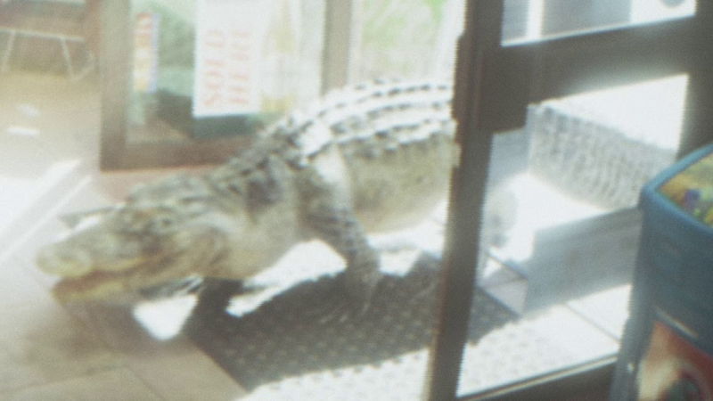 파일:Alligator-GTAVI-SecurityCameraFootage-Trailer1.png
