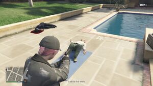 CasinoWork-GTAOee-JudgementCall-SS7.jpg