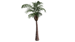 Beta-GTASA-Props-LasVenturasNightTreeR02.png