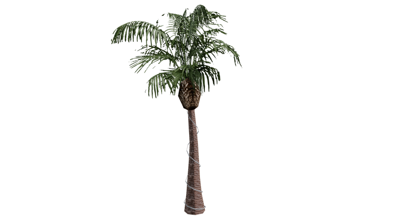 파일:Beta-GTASA-Props-LasVenturasNightTreeR02.png