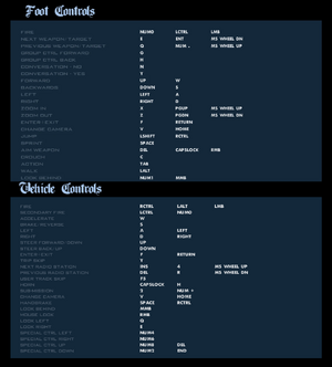 ControlsforGTASA-PC.png