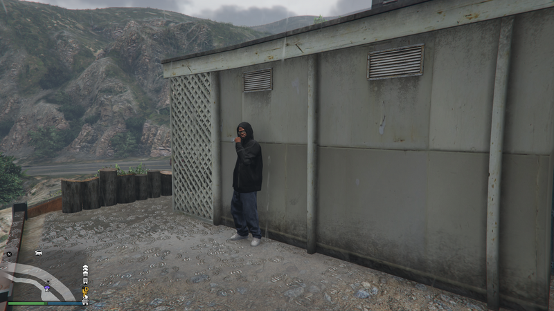 파일:StreetDealer-GTAOe-Location23-TongvaValley.png