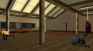 MaddDogg'sCrib-GTASA-gym.jpg