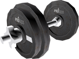 ProLaps-GTAV-Dumbell.png