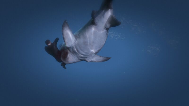 파일:Shark beast eat.jpg