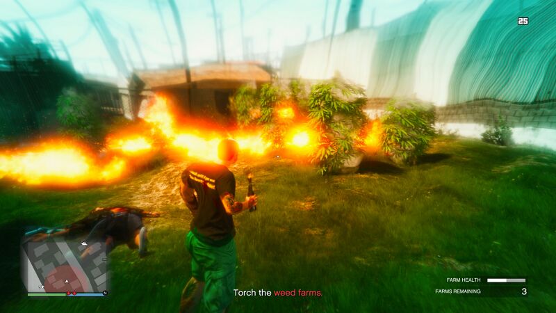 파일:TorchTheWeedFarms-GTAOee-SS10.jpg