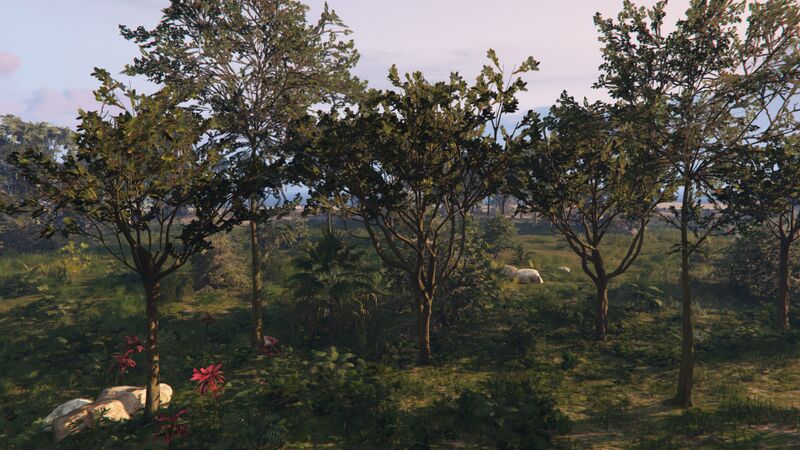 파일:Trees-GTAO-CayoPerico.jpg
