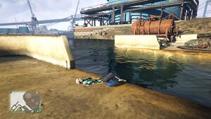 BuriedStashes-GTAOee-SkeletonRandomEvent-06-Banning.jpg