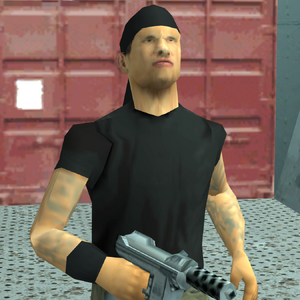 ContainerGuard-GTASA-Portrait.png