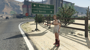 GirlHitchhiking-GTAV-Pickup.png