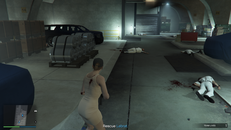 파일:LastDose3-GTAOe-RescueLabrat.png
