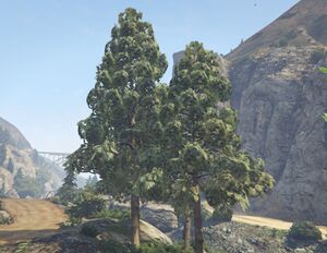 PineTree-GTAV-SS1.jpg