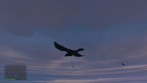 Bird droppings on demand GTAVe.jpg