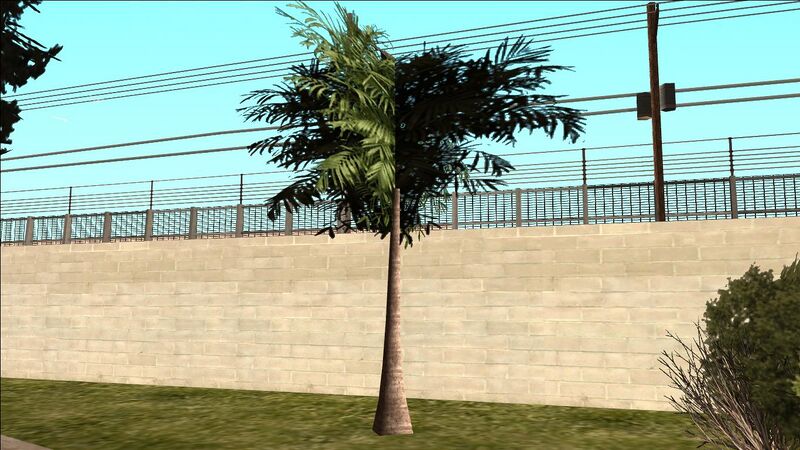 파일:PalmTree-GTASA-Small.jpg